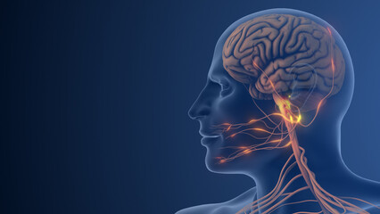 Nerve Dysfunction Causing Pain in Facial Region