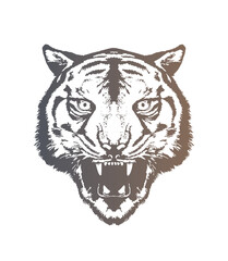 Fototapeta premium Evil tiger head. Original vector illustration in vintage style. T-shirt design.