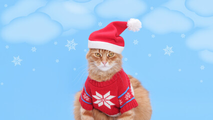 Cat in Santa hat, blue background, snowflakes, sky, clouds. Holiday theme, winter celebration, Christmas cat, feline in holiday attire, festive pet photo. Happy New Year. Xmas. Merry Christmas. 