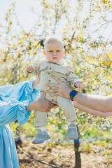 Baby close-up in the hands of mom and dad. Little boy in the arms of parents