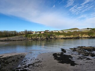 Natural Lake Landscape with Water, Clouds, and Plants