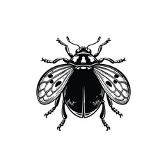 ladybug vector art and illustration