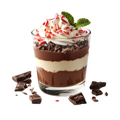 Delicious chocolate dessert in a glass with whipped cream and mint leaves.