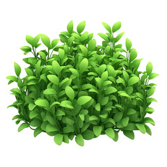 Fototapeta premium Lush 3D Ornamental Hedge Bush with Minimalistic White Background