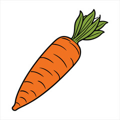 Carrot Vector Isolated on a white background