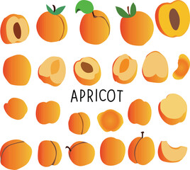 National Apricot Day is celebrated every year on 9 january.