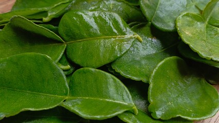 Top view of fresh green citrus leaf
