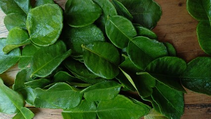 Fototapeta premium Top view of fresh green citrus leaf