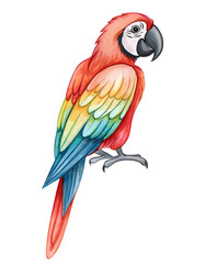 Obraz premium Vibrant Watercolor Macaw Parrot Tropical Bird Exotic Wildlife Avian Illustration