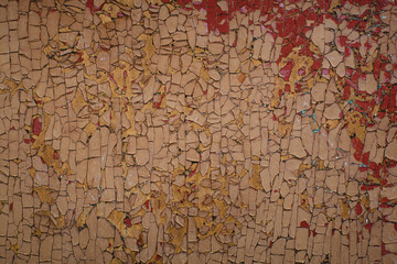 The texture of a plywood surface with faded and peeling paint, revealing the layered structure...