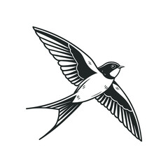 black and white bird