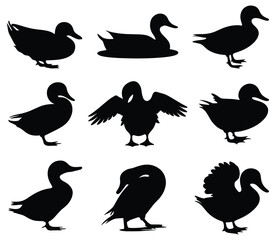 Set of duck silhouettes isolated on white background vector illustration