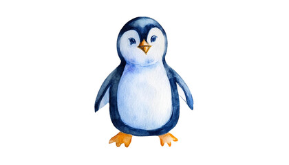 Fototapeta premium Adorable Watercolor Penguin Illustration Cute Bird Winter Animal Arctic Wildlife Childrens Book