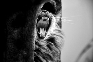 La fatigue