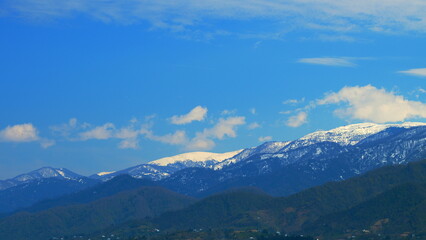 Christmas Trees Grow On The Hills. Beautiful View Of The Snow Mountains. Timelapse.