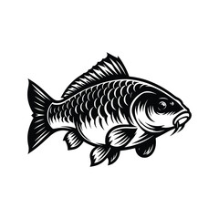 Carp Fish Vector art