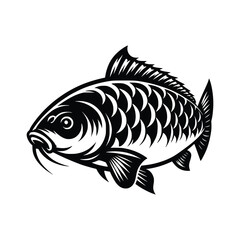 Carp Fish Vector art