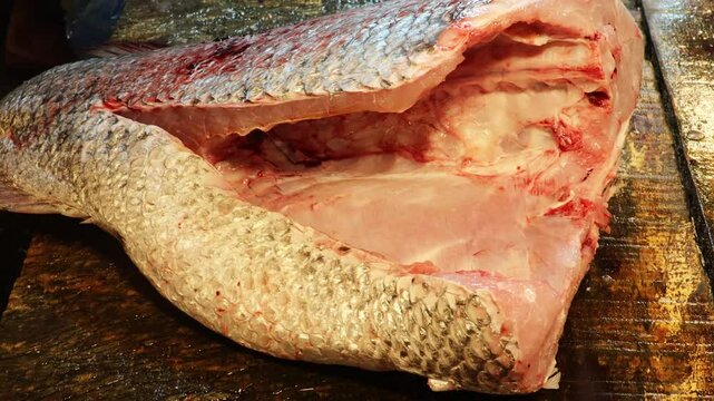 Closeup of fresh cut big sea coral fish slices placed for selling in local fish shops. Fresh fish market. Retail store. 
