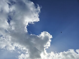 White fluffy cumulus clouds in the summer sky