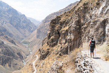 Young girl hiking in Colca canyon - one of the deepest canyons in the world which is situated in the south of Peru.