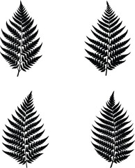 Fern Leaf Silhouette Vector Illustration