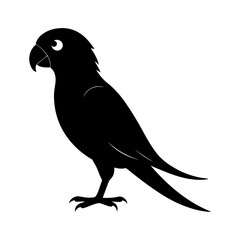 Carolina Parakeet Bird Silhouette Illustration for Digital and Print Creative Use.