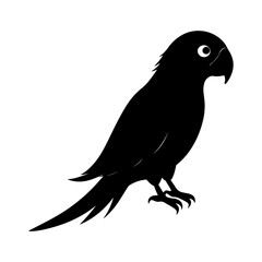 Carolina Parakeet Bird Silhouette Design for Stock Illustrations Market.