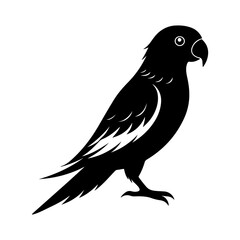 Obraz premium Carolina Parakeet Art Unique Bird Silhouette Illustration for Creative Designs.