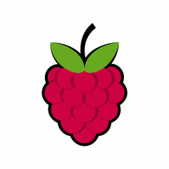 Raspberry silhouette & Berry fruit item vector illustration. Fruit elements icon vector
