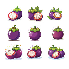 Fresh mangosteen vector illustrations with vibrant colors and various styles