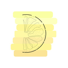 illustration of a citrus fruit in color minimal design