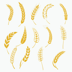 Set of wheats ears

