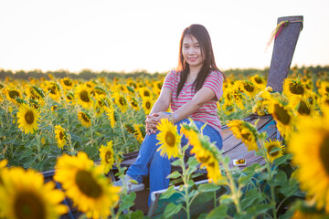 Portrait of beautiful asian girl in sunflower field at sunset. Beautiful asian woman in sunflower field at summer day.