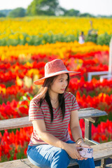 Portrait of beautiful asian girl in sunflower field at sunset. Beautiful asian woman in sunflower field at summer day.