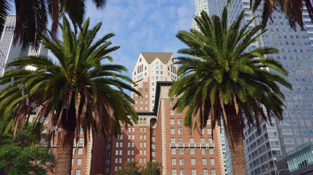 Los Angeles, California - December 4, 2024: View of the historic Biltmore Hotel building at Pershing Square, framed by palm trees, showcasing its architectural beauty in downtown Los Angeles.