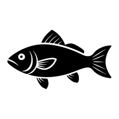 fish on a white background