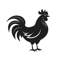 rooster isolated on white background