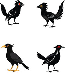 Black Birds Silhouette Vector Illustration