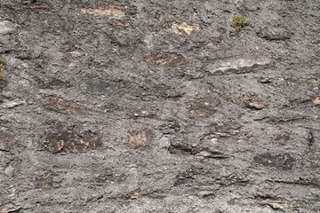 Ancient Stone Wall Texture - Historic and Timeless