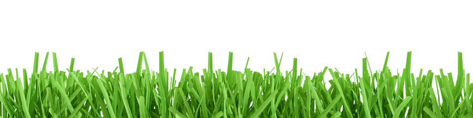 Green grass border isolated on a transparent background