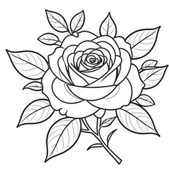 Fototapeta premium Rose Coloring Pages For Kids