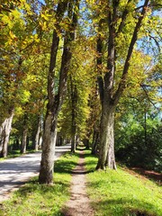 Nature photos. The eye of Ilidza and Ilidza, Sarajevo