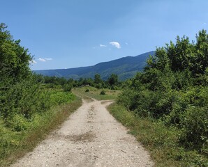 Nature photos. The eye of Ilidza and Ilidza, Sarajevo