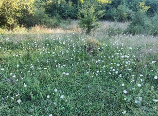 Nature photos. The eye of Ilidza and Ilidza, Sarajevo
