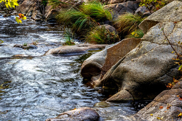 Rocks and bushes at the river Arenal
