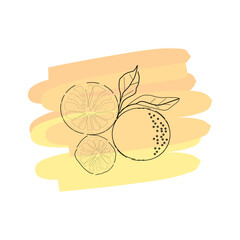 illustration of a citrus fruit minimal design