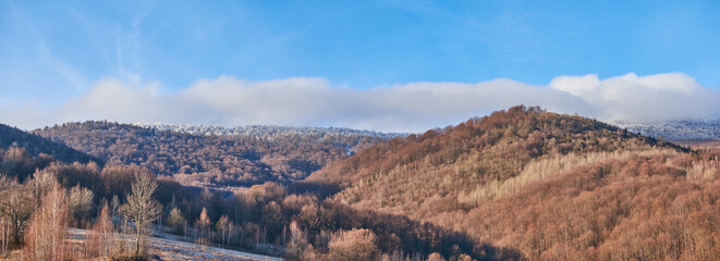A panorama of an autumn mountain landscape. Mountains covered with beech forests. There is already...