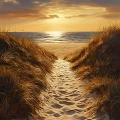 path to North sea beach in gold sunshine