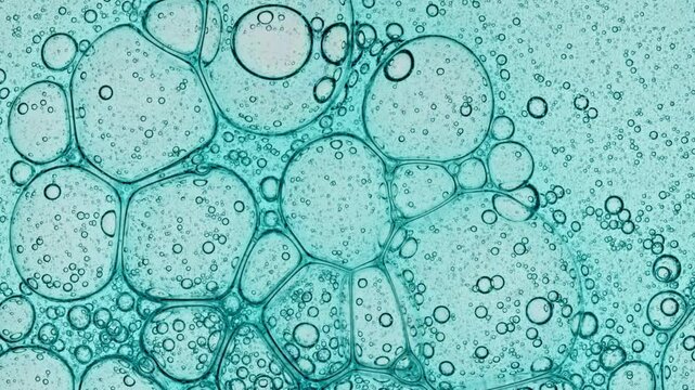 Various Bacteria, Tissue and Cells. Virus Testing Samples at Medical Lab Facility. Concept of Pharmaceutical Research for Antibiotics, Curing Disease. A Colony of Mold in a Petri Dish. High quality 4k