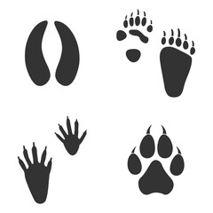 Footprints of  Animal, Traces of a panda, deer, raccoon and tiger on white background.  Silhouette animal tracks in gray. Paw Print for your  design. Vector illustration. EPS10.